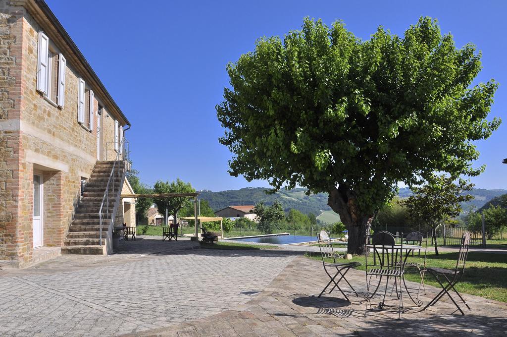 Penzion Tuttaterra Serra San Quirico Exteriér fotografie